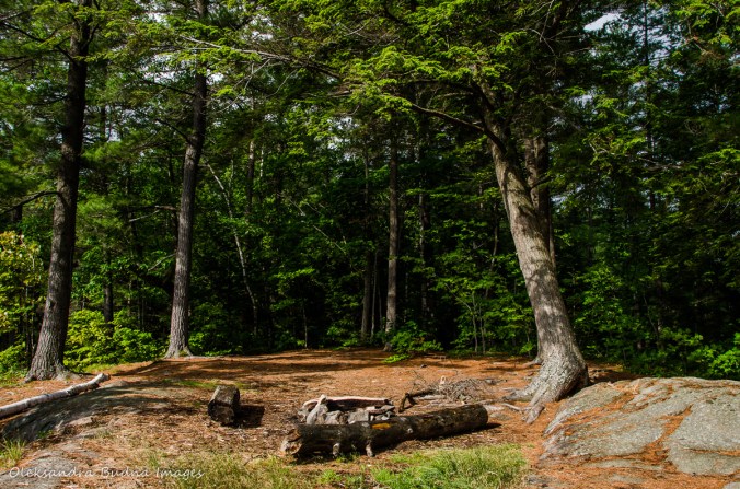 site 56 on Carlyle/Terry in Killarney