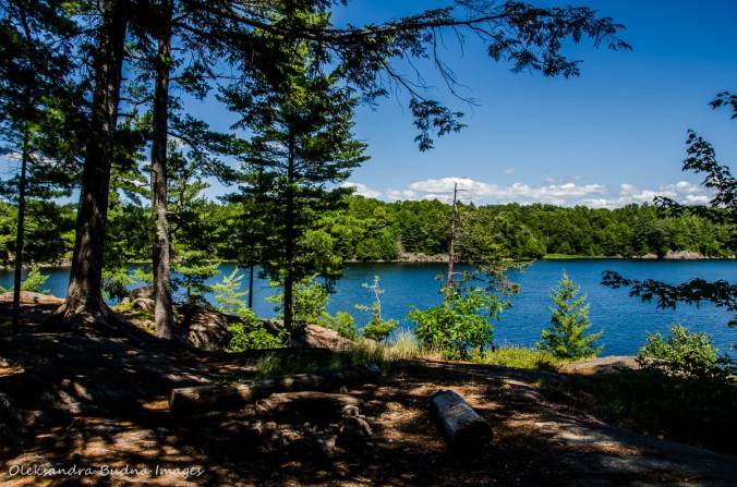 view from site 56 on Carlyle/Terry in Killarney