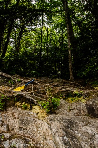 portage trail from Kakakise Lake to Terry lake in killarney