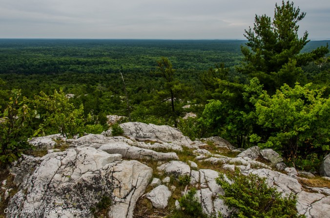 view from the Crack in Killarney