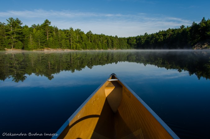 canoeing on Terry Lake in Killarney