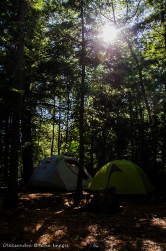 site 115 on Balsam Lake in Killarney