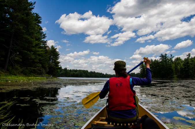paddling on Threemile lake in Killarney