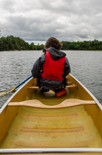 paddling on Boundary Lake in Killarney