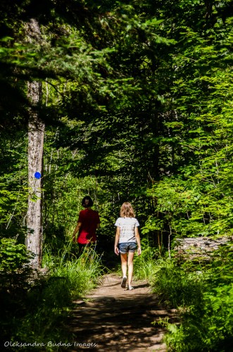 Oxtongue river in Algonquin