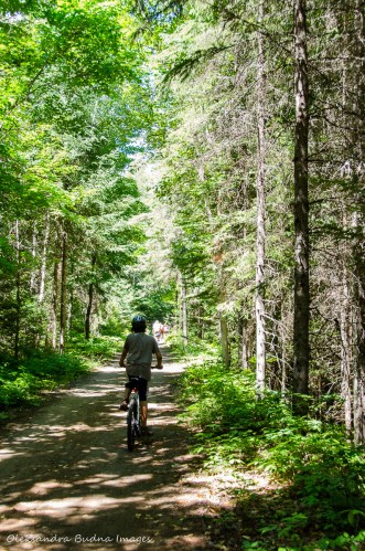 Old Railway bike trail in Algonquin