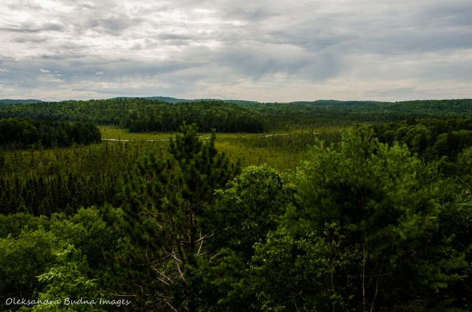 view from Algonquin visitor centre