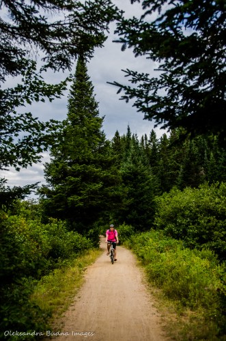 Old Railway bike trail in Algonquin