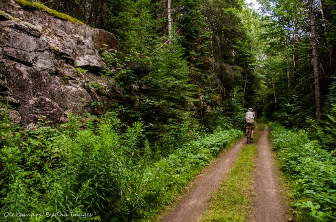 Old Railway bike trail in Algonquin