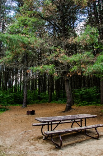 site 152 Kearney Campground Algonquin