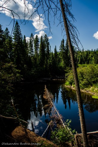Oxtongue river in Algonquin