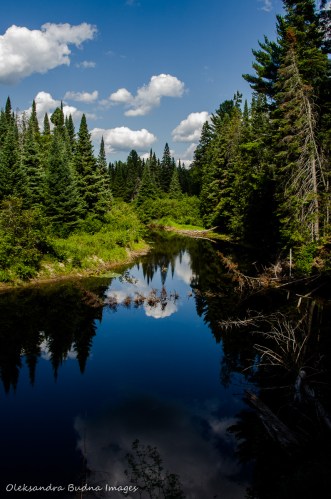 Oxtongue river in Algonquin