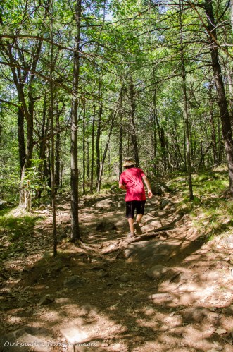 Cliff Top trail at Bon Echo