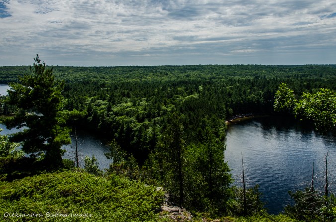 view from Cliff Top trail at Bon Echo