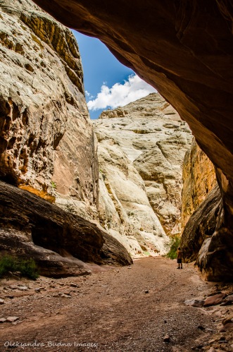 Grand Wash Trail in Capitol Reef