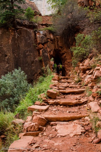 North Kaibab Trail at Grand Canyon