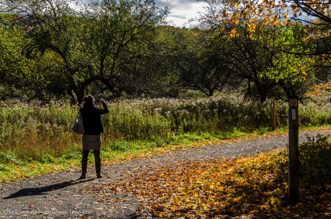 hiking the Main Loop at Dundas Valley