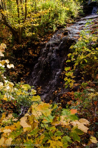 Hermitage Cascade at Dundas Valley Conservation Area in the fall