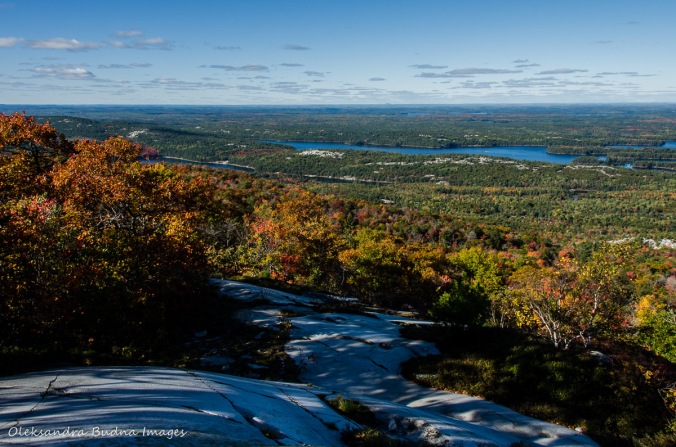 view from Silver Peak in Killarney in the fall