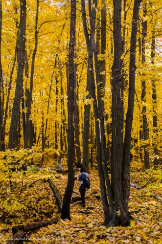 hiking at Mount Nemo