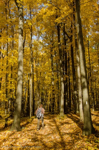 hiking at Mount Nemo in the fall