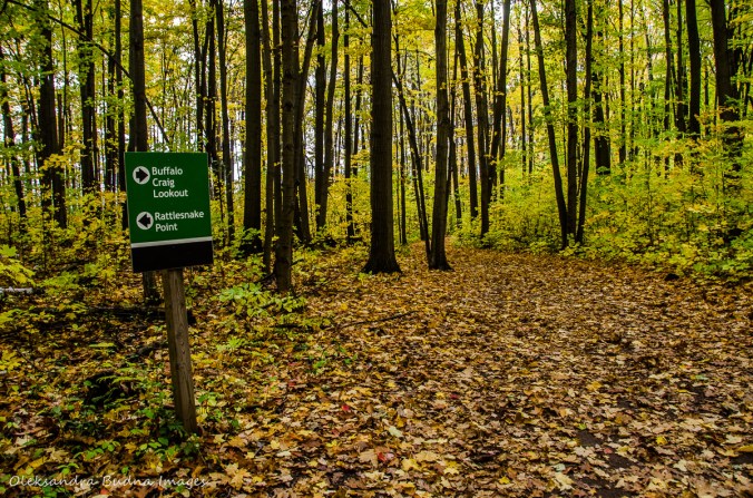 hiking at Rattlesnake Point