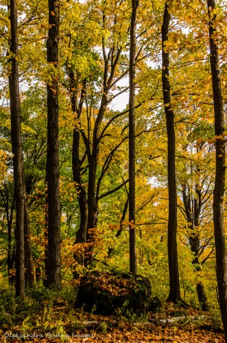 Rattlesnake Point in the fall