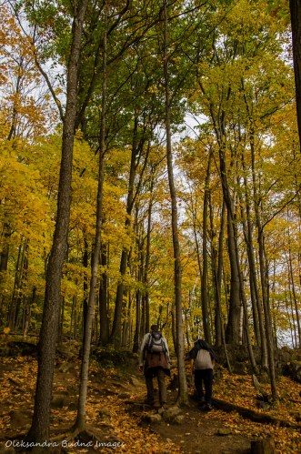 hiking at Rattlesnake Point