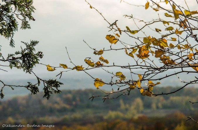 view from Rattlesnake Point in the fall
