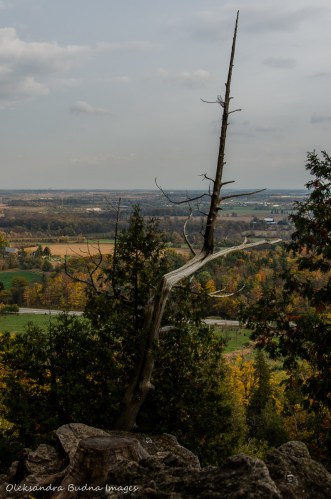 view from Rattlesnake Point in the fall