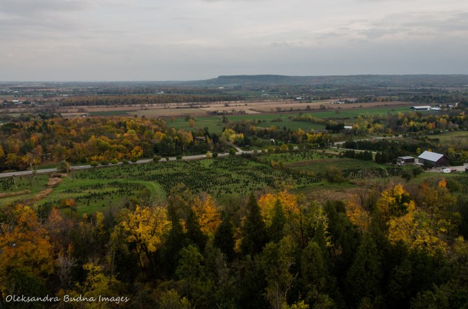 view from Rattlesnake Point in the fall