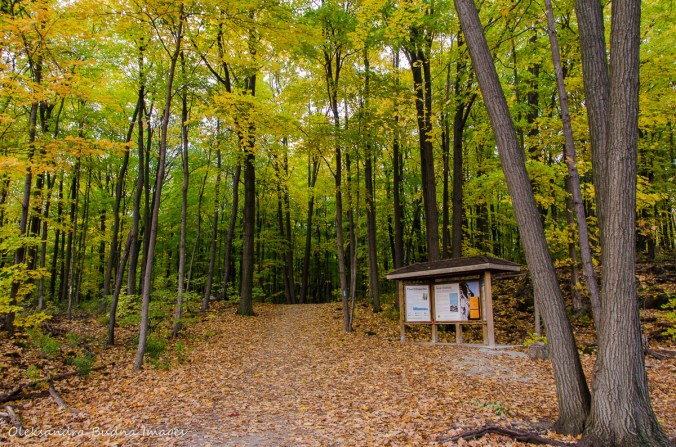 Rattlesnake Point in the fall