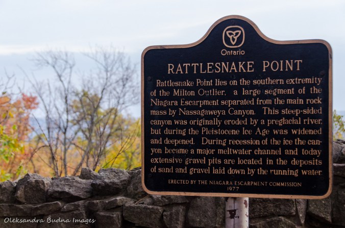 Rattlesnake Point