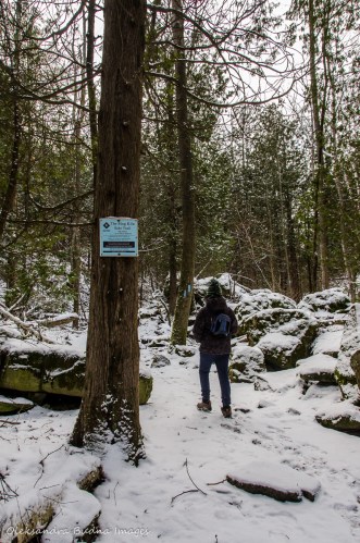 Ring Kiln Side Trail