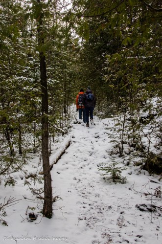 Ring Kiln side trail