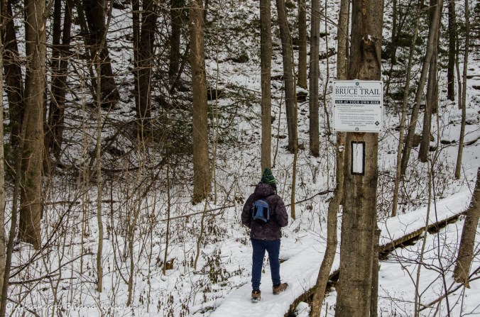 Bruce Trail near Devil's Pulpit