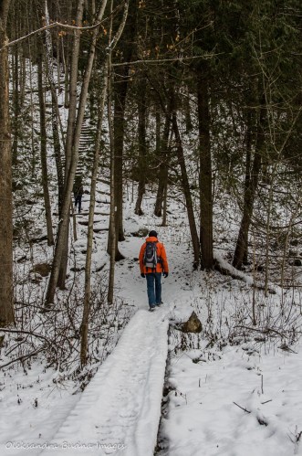 Bruce Trail near Devil's Pulpit