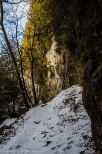 Bruce Trail near Devil's Pulpit