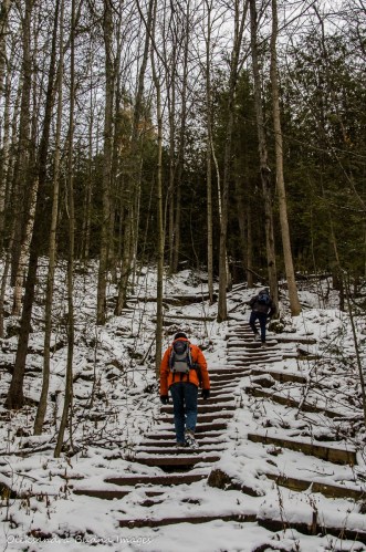 Bruce Trail near Devil's Pulpit