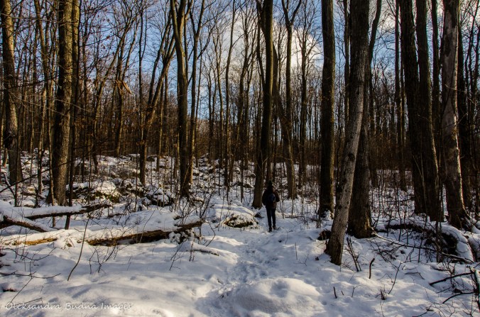 Bruce Trail near Devil's Pulpit