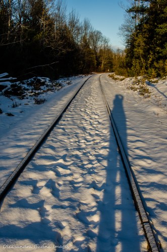 rail tracks crossing Bruce Trail near Devil's Pulpit
