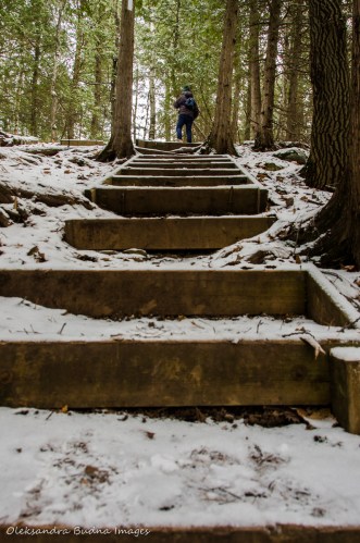 Bruce Trail near Devil's Pulpit