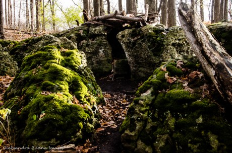 moss covered rocks at Eramosa Karst