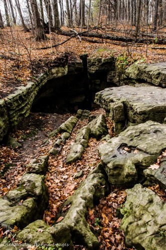 Pottruff Cave entrance at Eramosa Karst