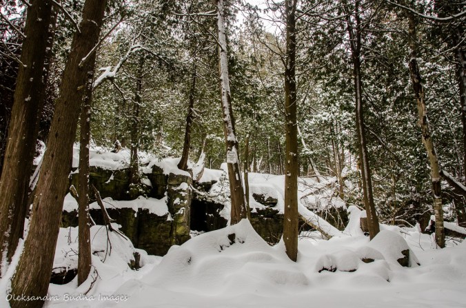 Bruce Trail at Limehouse Conservation Area