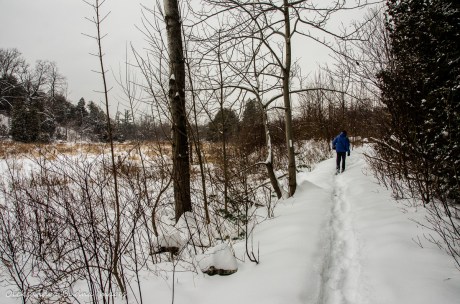 Bruce Trail at Limehouse Conservation Area
