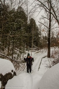 Bruce Trail at Limehouse Conservation Area