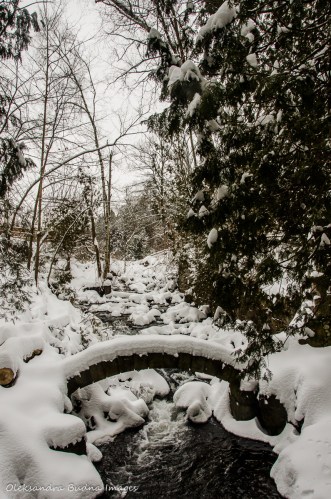stone bridge over Black Creek at Limehouse Conservation area