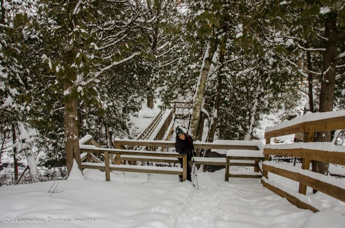 Bruce Trail at Limehouse Conservation Area