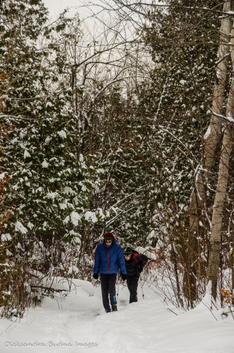 Bruce Trail at Limehouse Conservation Area